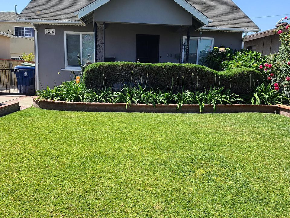 Front Yard