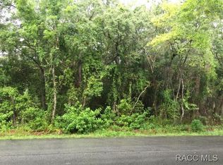 183 N Fitzpatrick Ave, Inverness, FL 34453