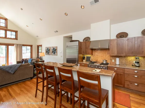 507 W Main St #C201, Aspen, CO 81611