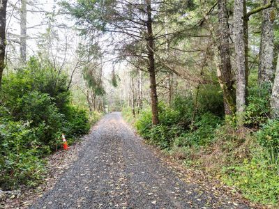 36815 Stackpole Road, Oysterville, WA, 98641