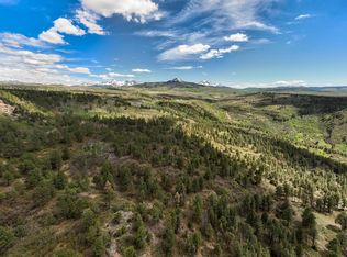 LOT M44 Thirteen #5, Placerville, CO 81430
