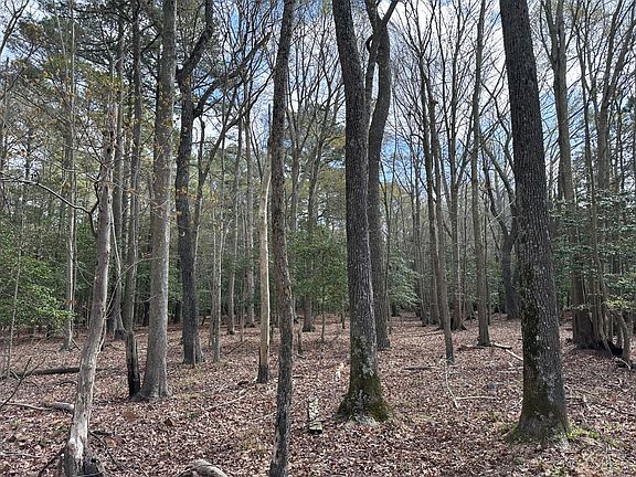 5th image of 31379 Boggs Rd