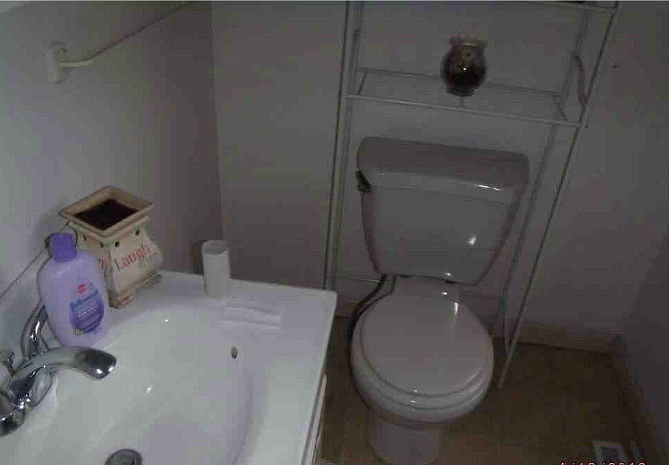 1st image of 554 S Market St APT 101