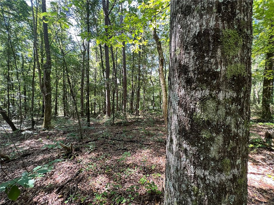 0 Ross Rd, Camp Hill, AL 36850 Zillow