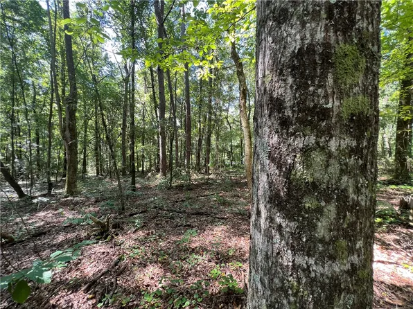 0 Ross Rd, Camp Hill, AL 36850