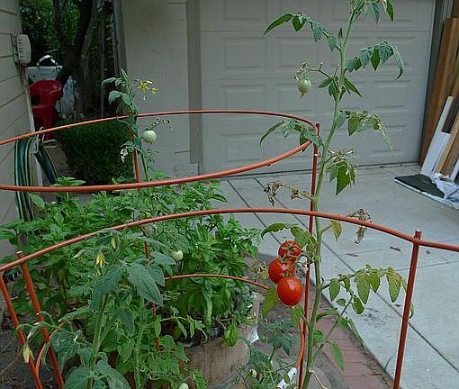 4th image of 2727 G St