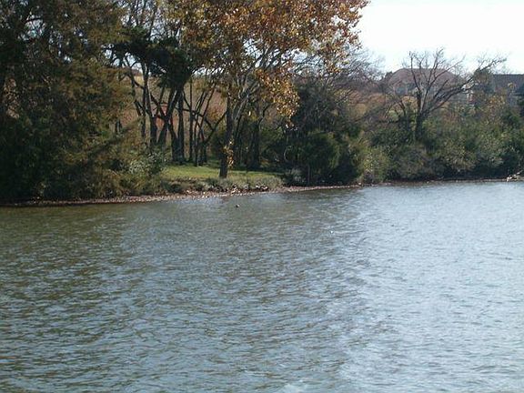 2nd image of 316 W Shore Dr Lot 581