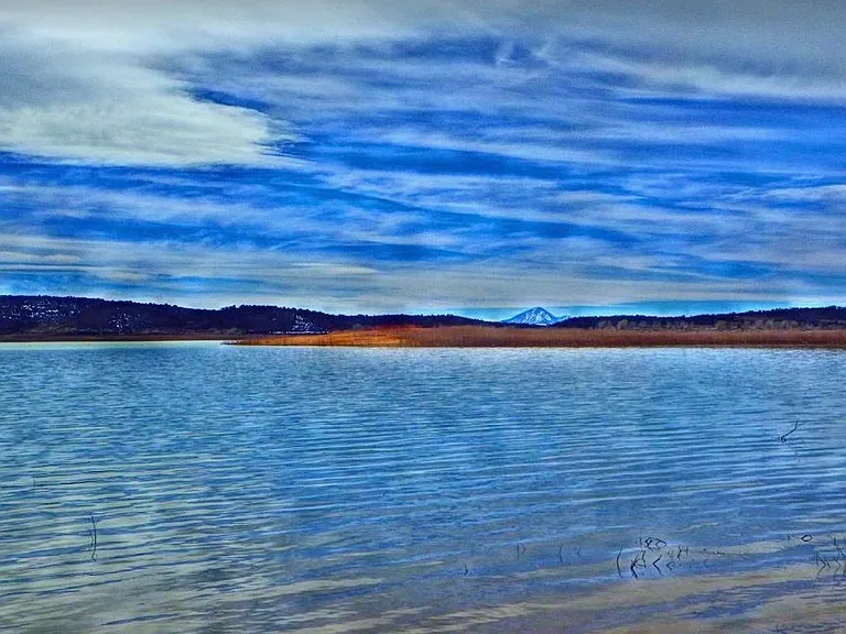 17404 Highway 145 #A — Photo 9