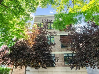 1833 W Addison St #2, Chicago, IL, 60613