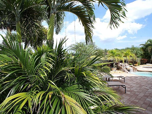 Professional tropical landscaping