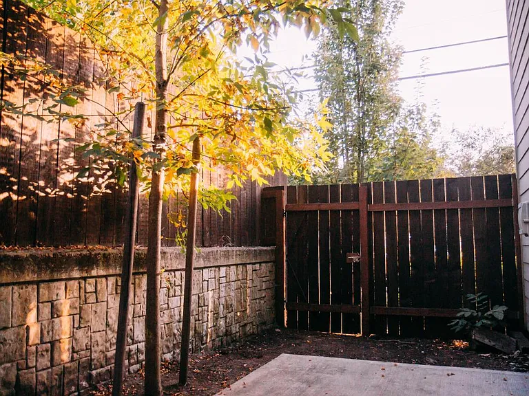 Back Yard