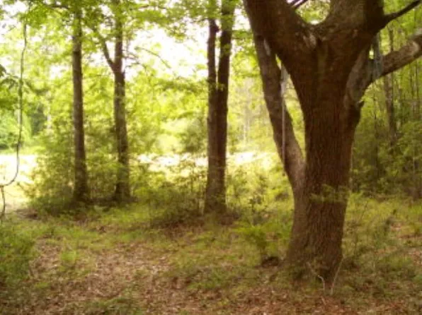 21013 Glass And Spivey Rd, Robertsdale, AL 36567