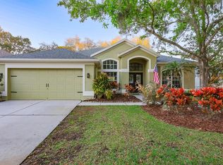 19134 Cherry Rose Cir, Lutz, FL 33558