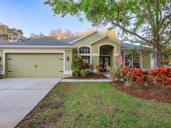 19134 Cherry Rose Cir, Lutz, FL 33558