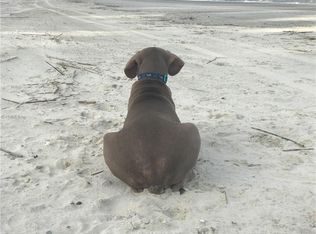 49 Church Rd, Daufuskie Island, SC 29915