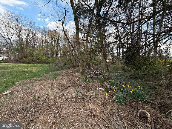3rd image of BLOCK-2008 Coolidge Ave Lot 12.02