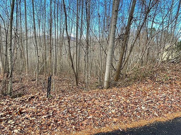 2nd image of 53 Timber Line Dr