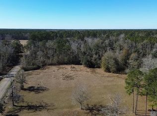 28519 N Horseshoe Rd, Independence, LA 70443