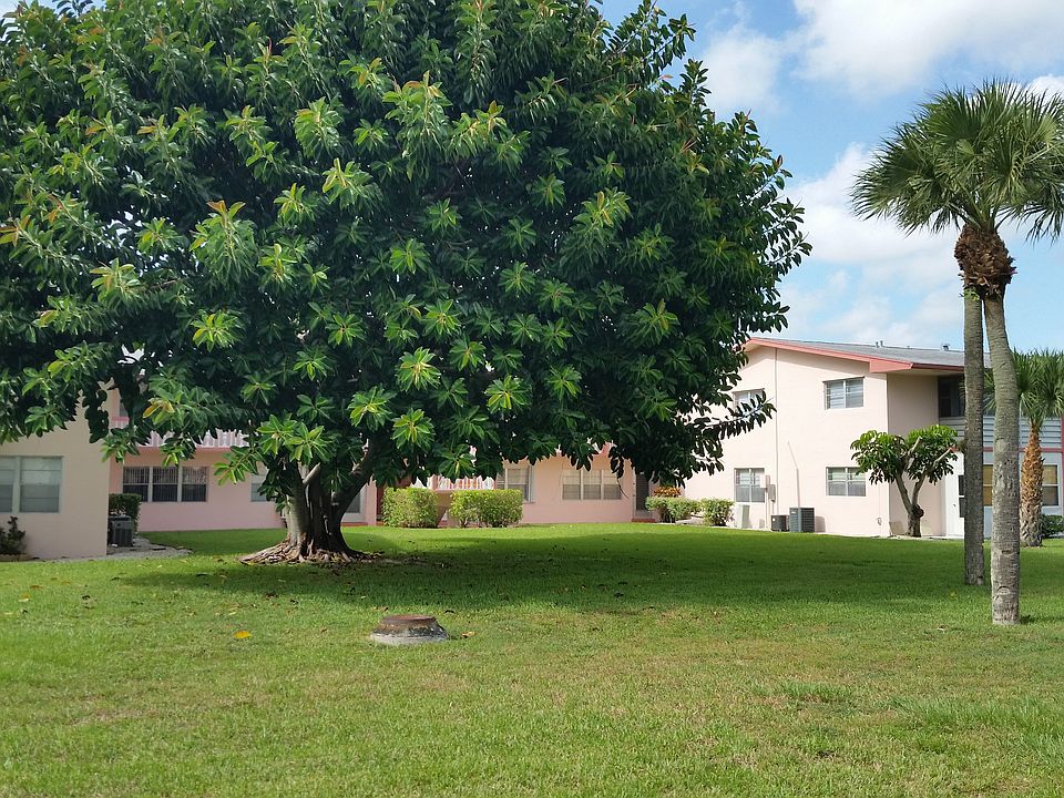 view from patio