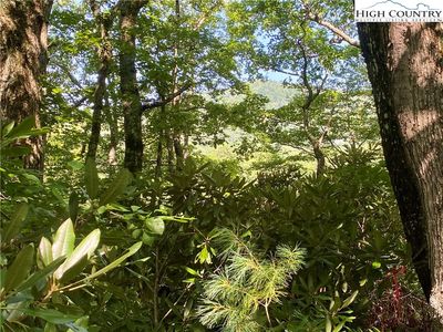Lot 119 Timber Creek Drive, Blowing Rock, NC, 28605