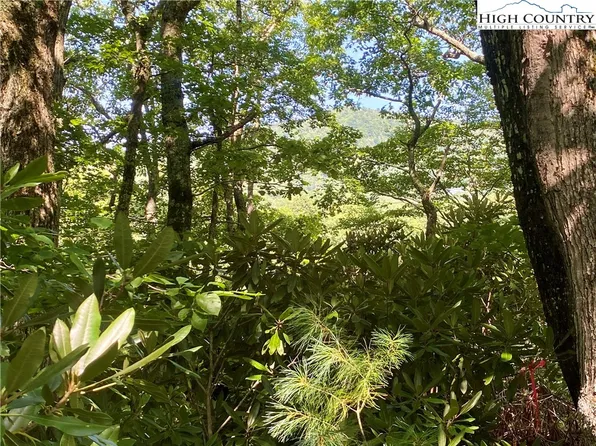 Lot 119 Timber Creek Drive, Blowing Rock, NC 28605