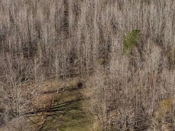 0 W Main St, Dresden, TN 38225