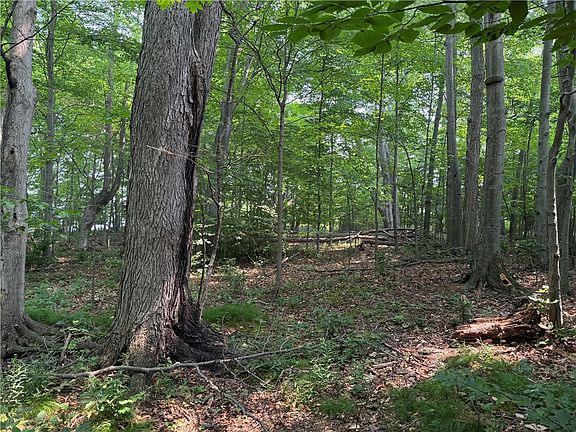 4th image of 0 Wilson Extension Rd Lot 5