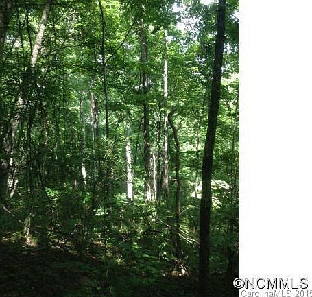 2nd image of 0 Tilley Creek Rd