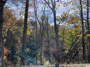 Old Cartertown Rd #LOT 5, Gatlinburg, TN 37738