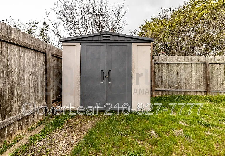 3734 Ox Eye Daisy — Photo 46