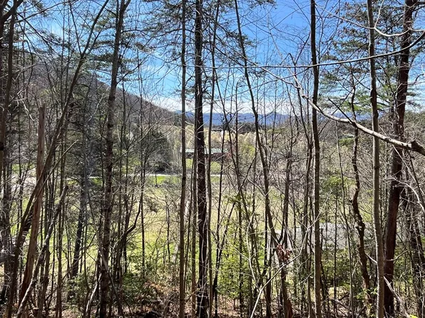 7 Firefly Rd, Whittier, NC 28789
