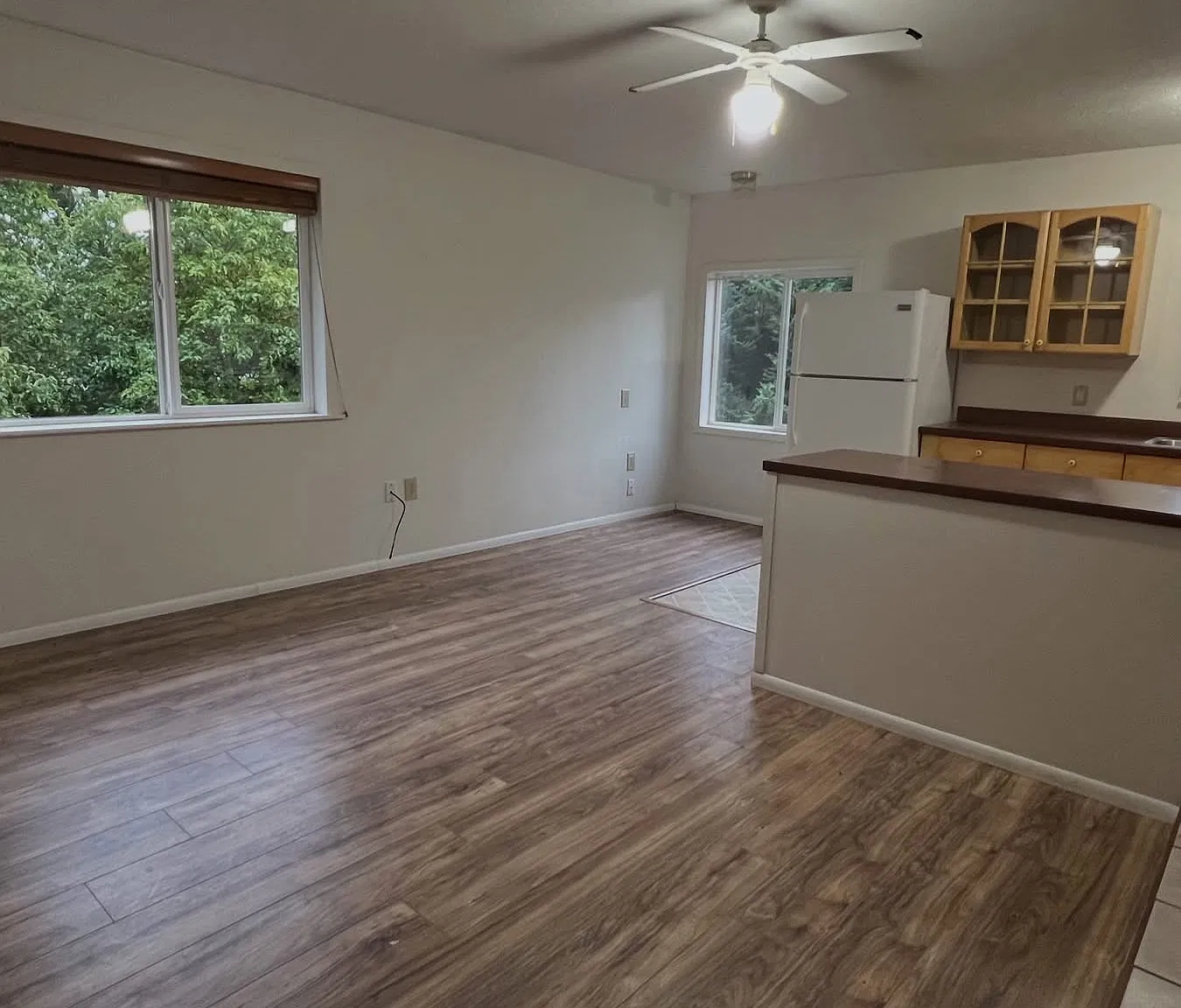 1 bed, 800 sqft, $1,500 — Photo 1