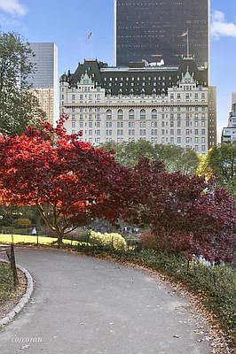 Rented by Corcoran | media 23