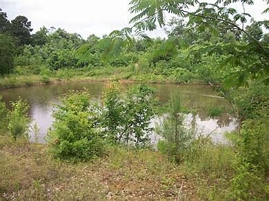 2nd image of 4610 State Highway 7 W