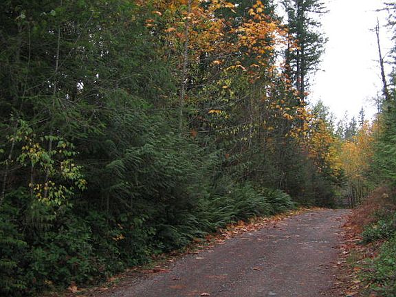 5th image of INTERSECTION OF Se 396th St And 303rd Ave Se