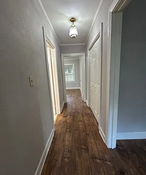 203 Short Brown St — Photo 14