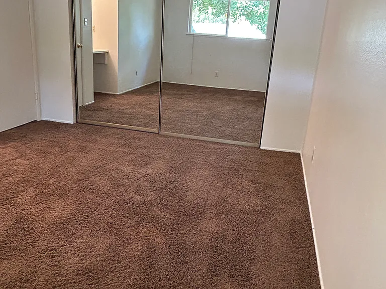 3317 Gould Way — Photo 8