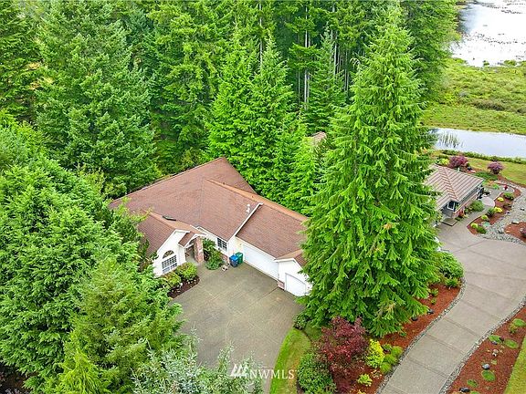 House behind you is hidden by the surrounding trees
