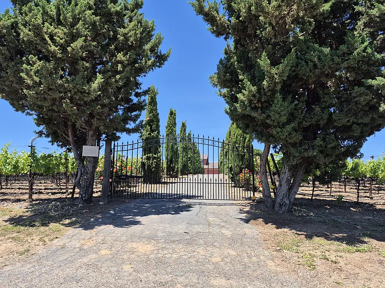 Dealy Ln — Photo 8