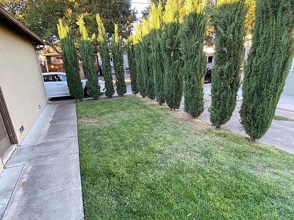 5th image of 1062 Luther Ave