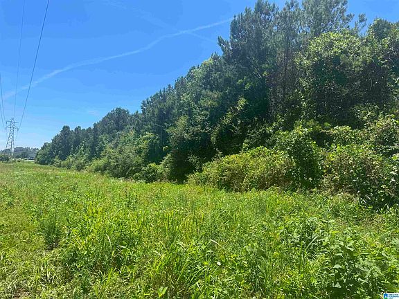 5th image of 0 State Highway 431