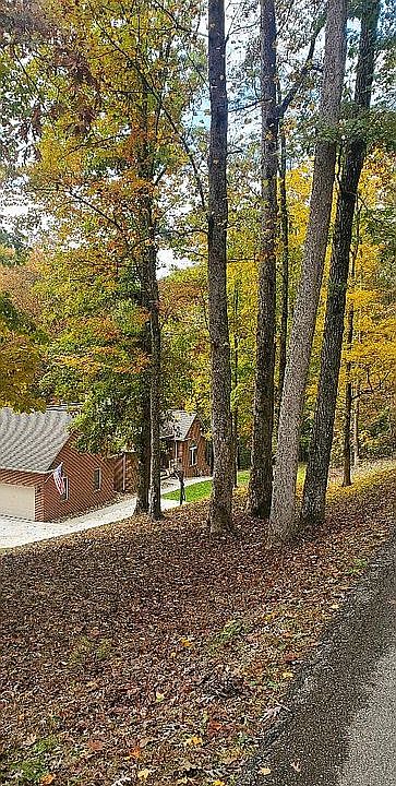 2nd image of 11909 Couch Mill Rd