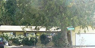 1st image of 499 NE Conifer Dr