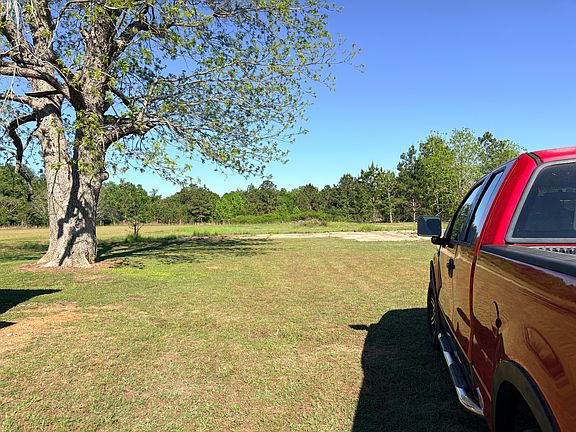 East view of backyard