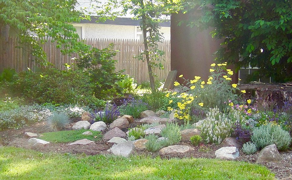 Rock Garden