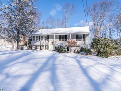4 John Ct, Randolph, NJ, 07869