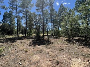 6997 Leo Ln, Lakeside, AZ 85929