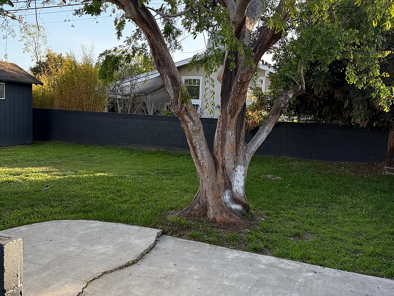 2827 Pinckard Ave — Photo 4