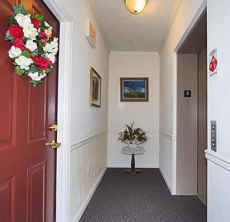 5th image of 307 Willrich Cir