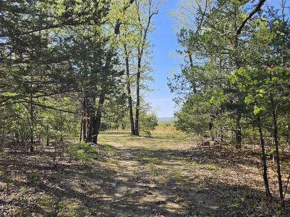 (undisclosed Address), Big Flat, AR 72617